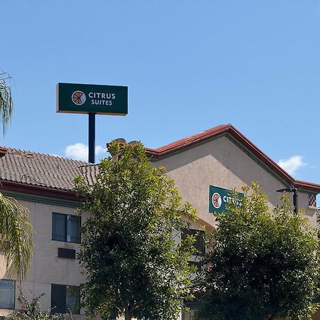 Citrus Suites Redlands Loma Linda Hotel Экстерьер фото