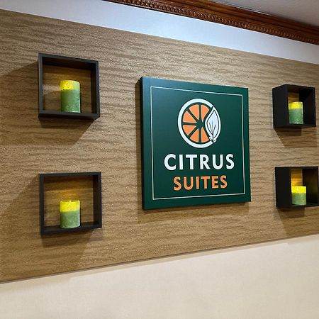 Citrus Suites Redlands Loma Linda Hotel Экстерьер фото